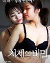 Nonton Semi The Secret of My Brother in Law 2020