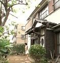 Jav Sex Nude Price Cheat in Home