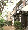 Jav Sex Nude Price Cheat in Home