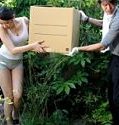 Jav Rape sister in Law