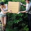 Jav Rape sister in Law