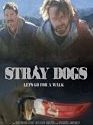 Stray Dogs 2020