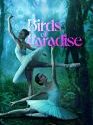 Birds of Paradise 2021