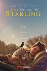 The Starling 2021