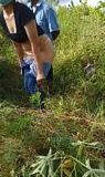 Si Centil Minta Tolong Cebokin Sama Tukang Kebun