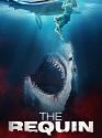 The Requin 2022