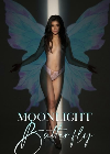 Moonlight Butterfly 2022