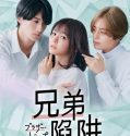 Drama Jepang Brother Trap 2023 END