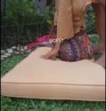 Bokep Indo Batik Dibelakang Rumah