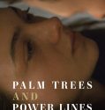 Palm Trees and Power Lines 2023