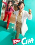 Drama Korea Doctor Cha 2023 END