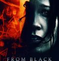From Black 2023