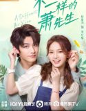Drama China A Different Mr Xiao 2023 TAMAT