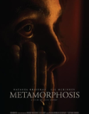 Metamorphosis 2022