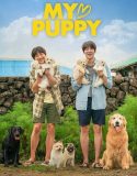My Heart Puppy 2023