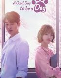 Drama Korea A Good Day to Be a Dog 2023