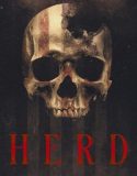 Herd 2023