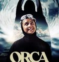Orca 2023
