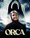 Orca 2023