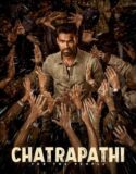 Chatrapathi 2023