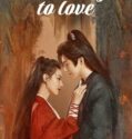 Drama China A Journey to Love 2023