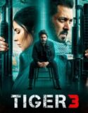 Tiger 3 2023