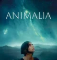 Animalia 2023