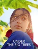 Under the Fig Trees 2022