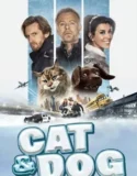 Cat and Dog (2024) Sub Indo