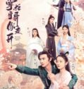 Drama China Bazaar Beloved Birds Subtitle Indonesia 2024