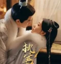 Drama China Fortune Writer Subtitle Indonesia 2024