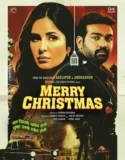 Merry Christmas 2024