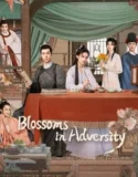 Drama China Blossoms in Adversity  Subtitle Indonesia 2024