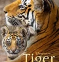 Tiger (2024) Sub Indo