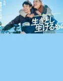 All Lives (2024) Sub Indo