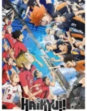 Anime HAIKYU The Dumpster Battle (2024) Sub Indo