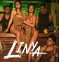Film Dewasa Linya (2024) Sub Indo