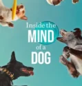 Inside the Mind of a Dog (2024) Sub Indo