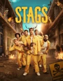 Serial Stags (2024) Season 1 Sub Indo