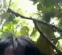 Viral Abg Berbuat Di Hutan