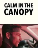 Calm in the Canopy (2024) Sub Indo