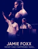 Jamie Foxx What Had Happened Was (2024) Sub Indo