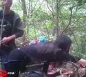 ABG Ngewe Sama Kakek Di Gunung