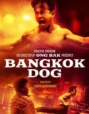 Film Online Bangkok Dog (2024) Sub Indo