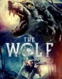 Film Sub Indo The Wolf (2024)