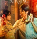 Drama China Spring Burning (2025)