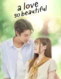 Drama Thailand A Love So Beautiful (2024)