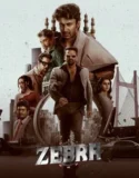 Film India Zebra (2024) Sub Indo