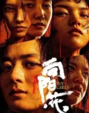 Film We Girls (2025) Sub Indo
