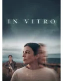 In Vitro (2025)